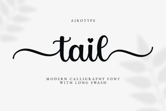 Tail Font: The Simple Script Typeface That Builds a Beautiful Brand