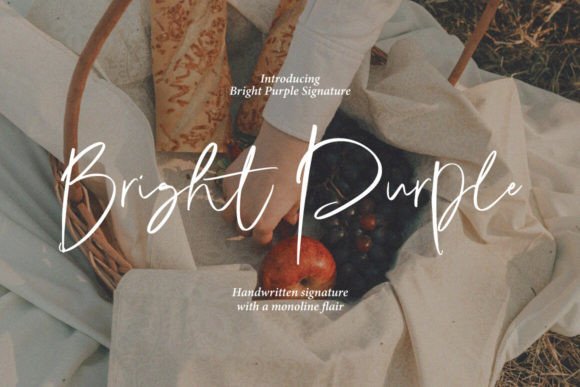 The Bright Purple Font: A Creative's Single-Line Secret